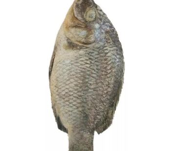 Ghana Salted Tilapia koobi